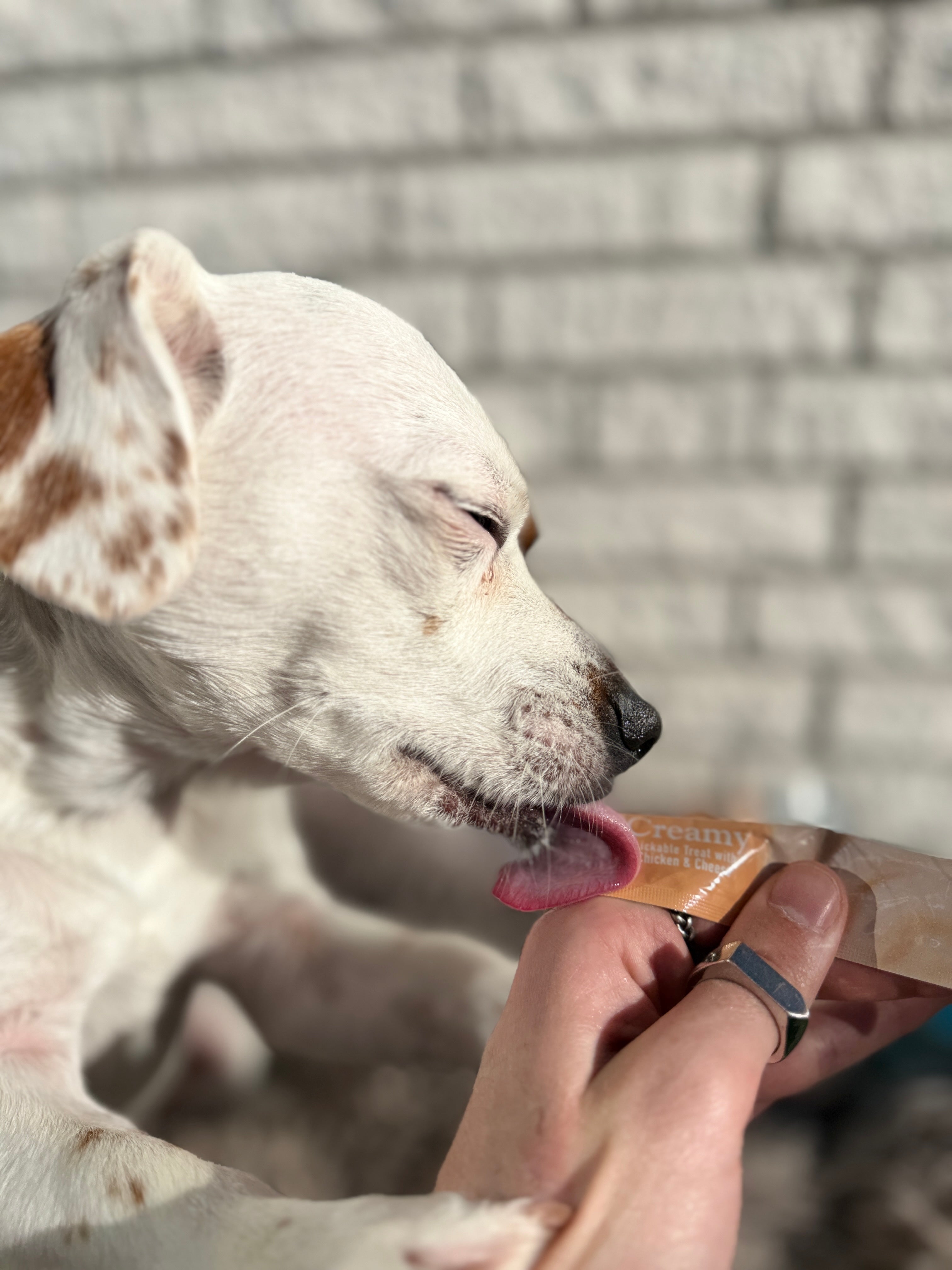 Wanpy Dog 40 Pack Creamy Lickable Treat - Salmon & duck 560g