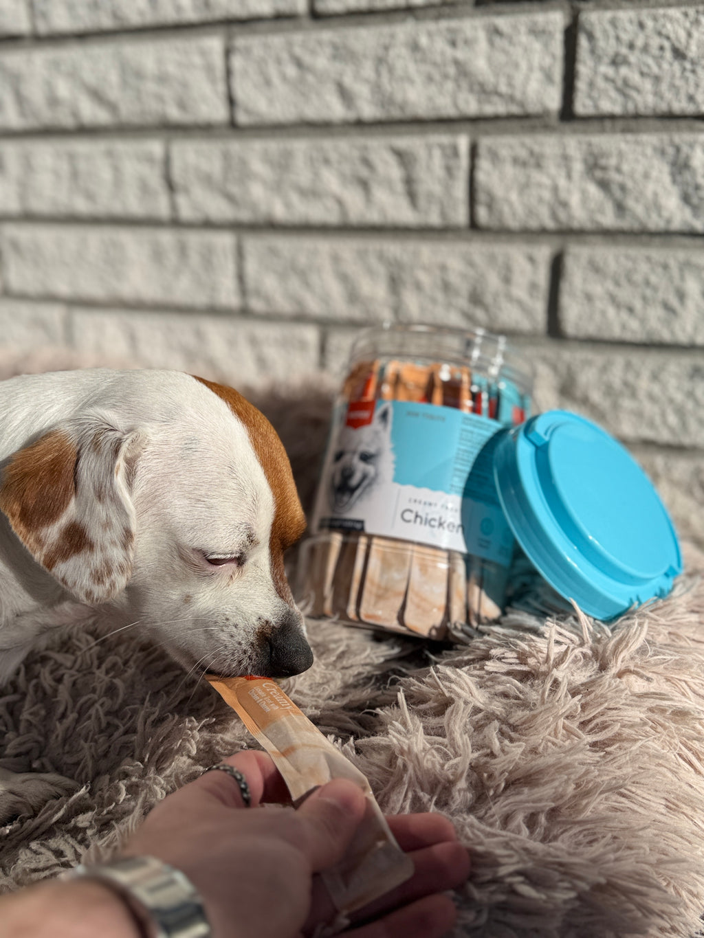 Wanpy Dog 40 Pack Creamy Lickable Treat - Chicken 560g