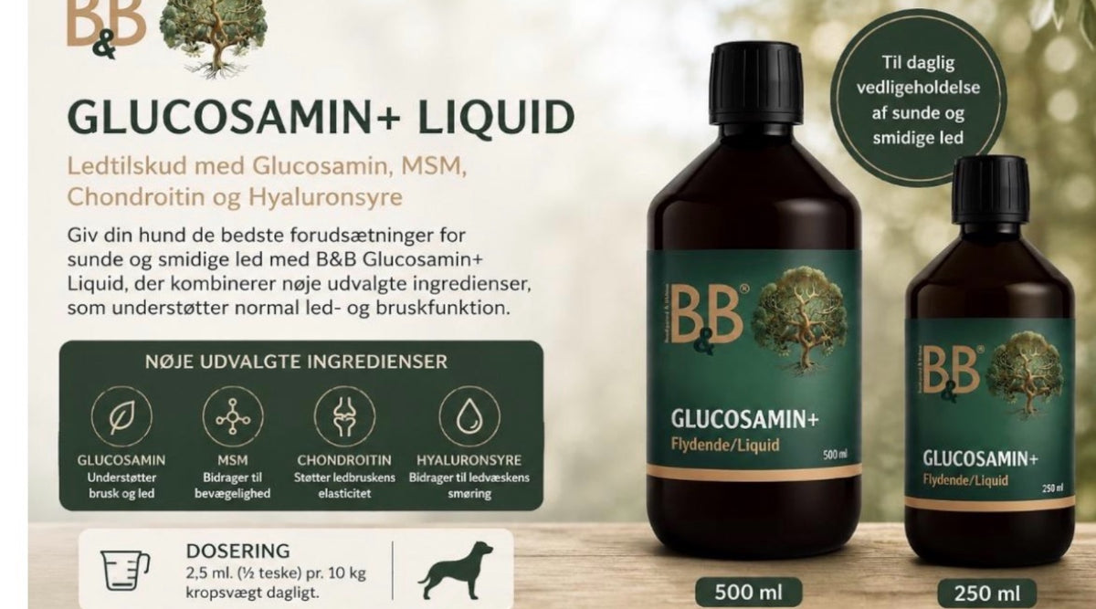 B&B Glucosamin+ Liquid
