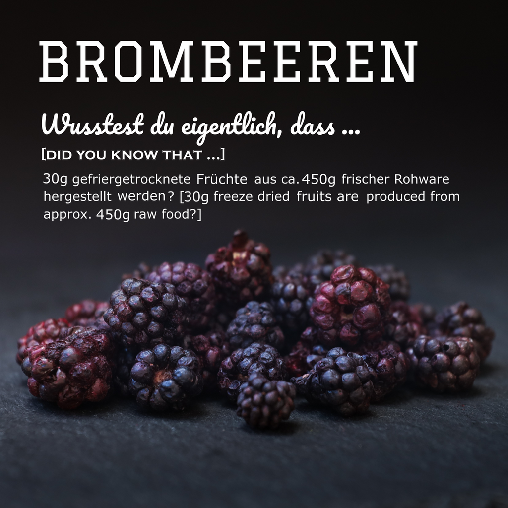Pamcio Frysetørrede brombær - BARF SNACK