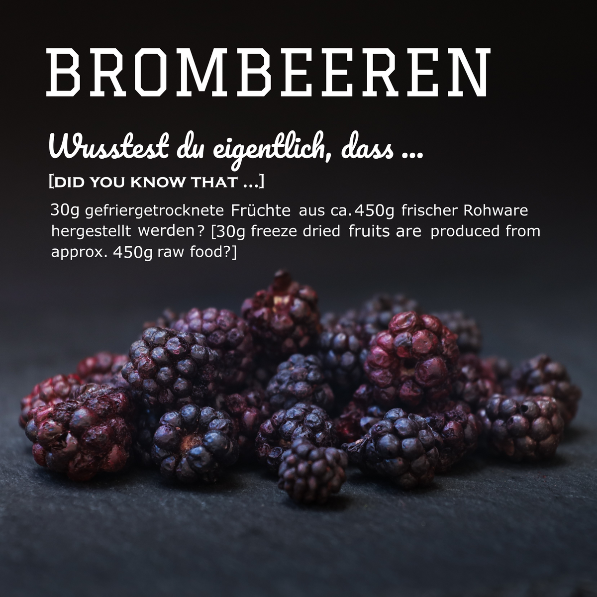 Pamcio Frysetørrede brombær - BARF SNACK