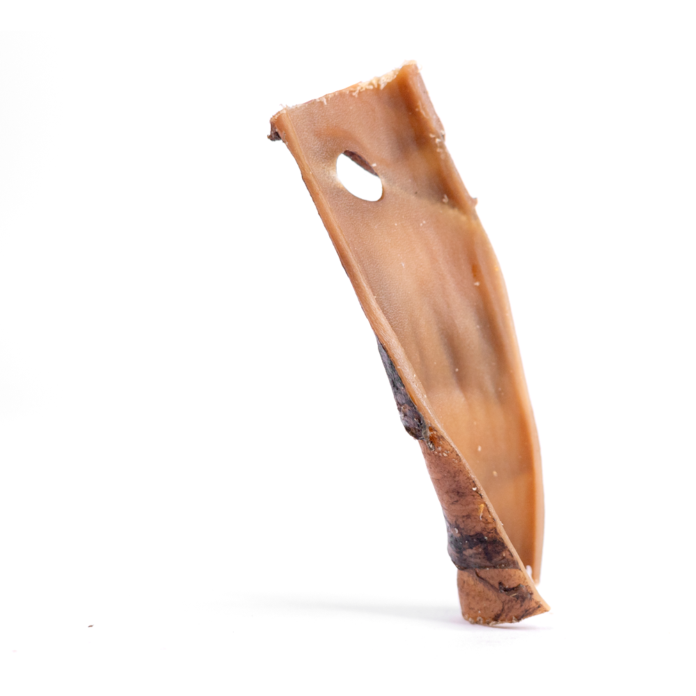 Snack’it kamel hud