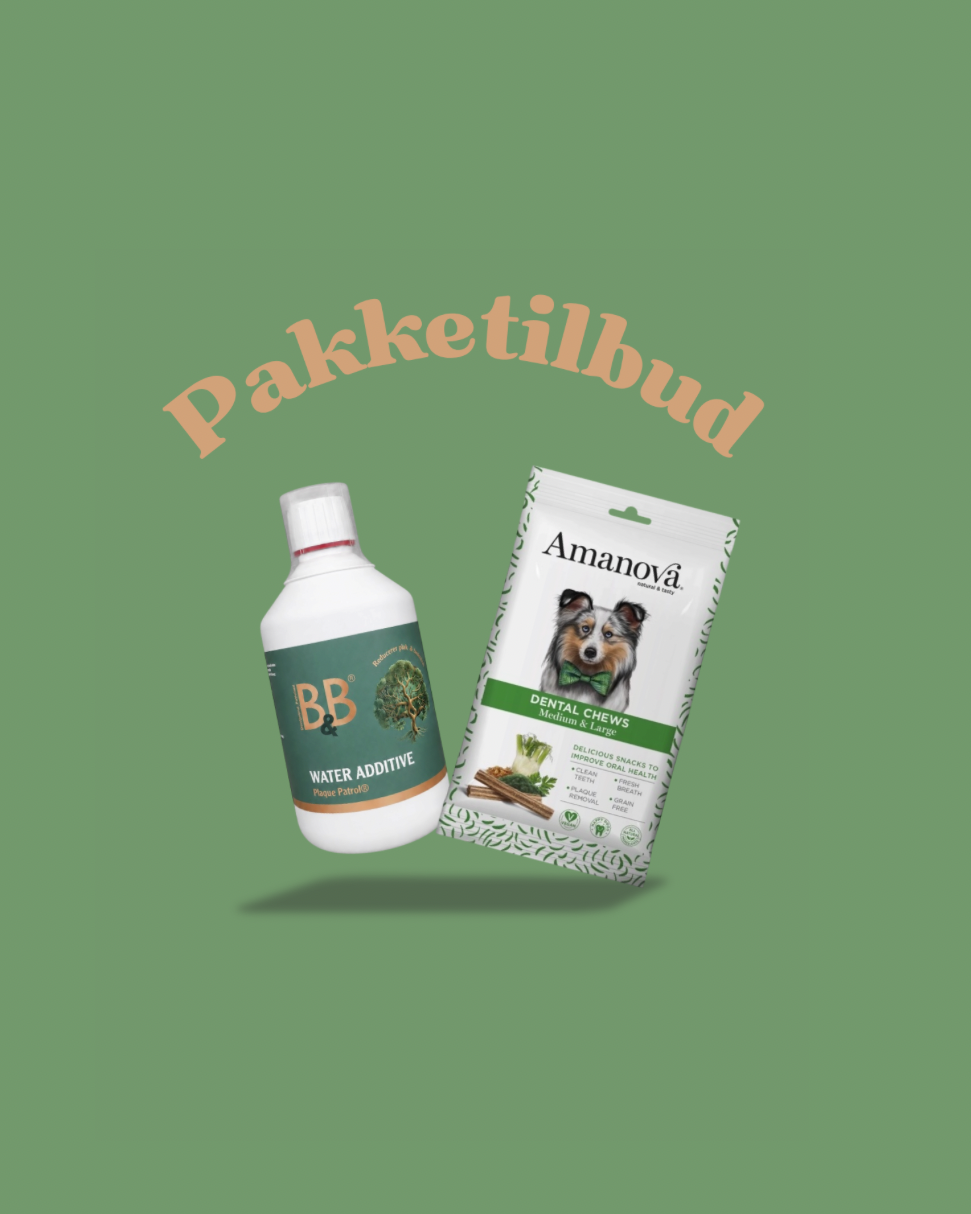   tandpleje hund
plak hund
 dårlig ånde hund
* tandrensning hund