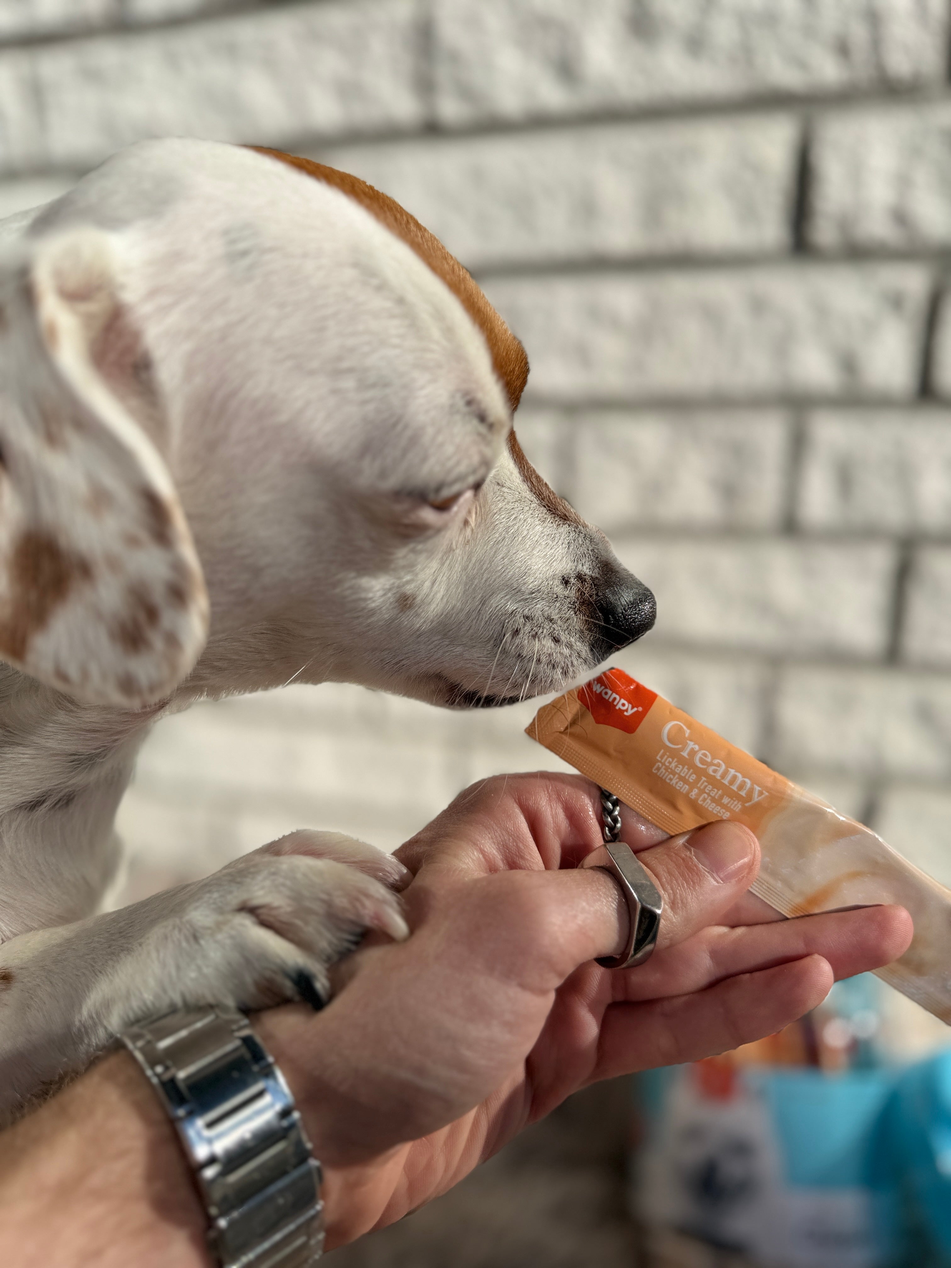 Wanpy Dog 40 Pack Creamy Lickable Treat - Chicken 560g