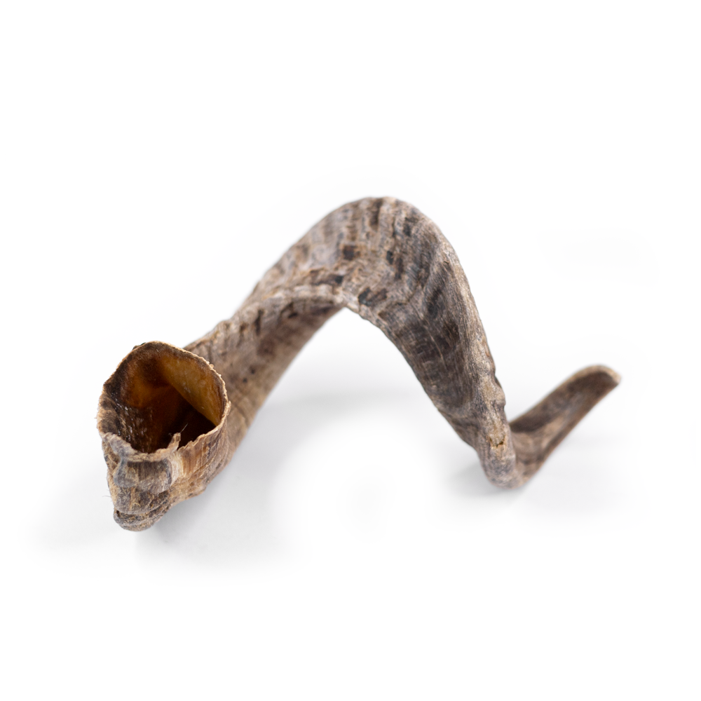 lammehorn til hund, snackit lammehorn medium, naturlig hundesnack, tyggeben til hund, lang tyggetid hund snack