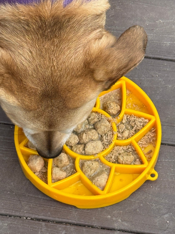 SodaPup Sunflower Softie eTray – Blød slow feeder til hund